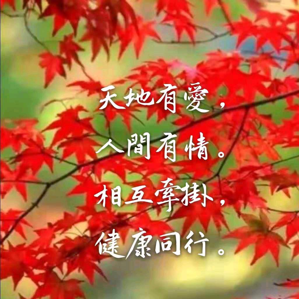 小姐书单