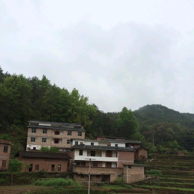港湾