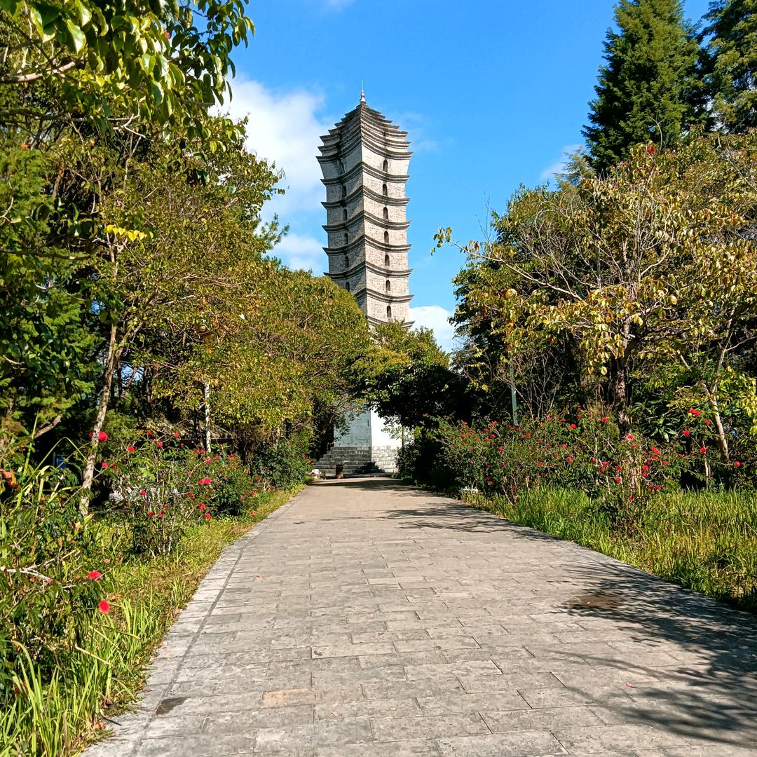 封金才