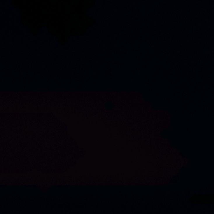 家