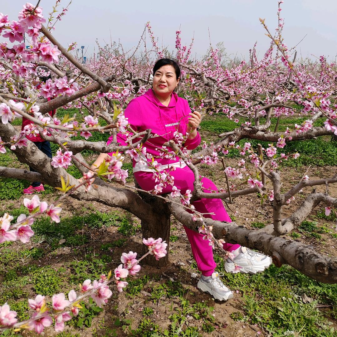高高在上（禁止合拍）