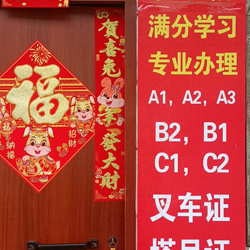 金枝驾照理论速成