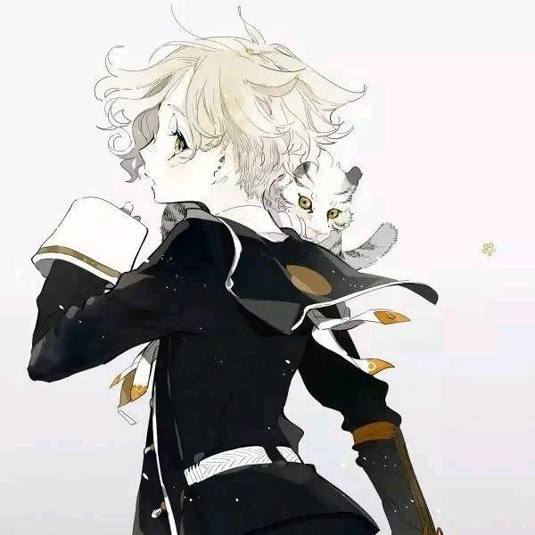 白洋洋