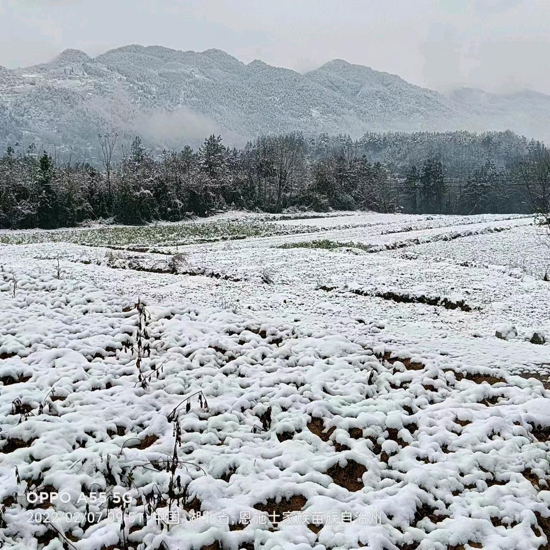 A.落叶🍂知秋意
