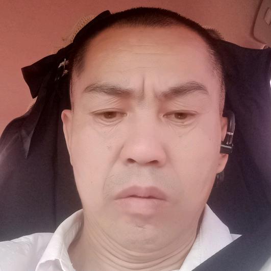 刘总