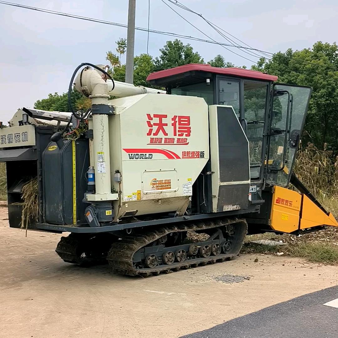 鹏鹏不是朋朋