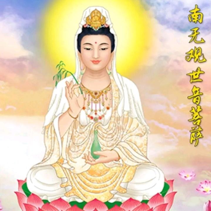 本宝