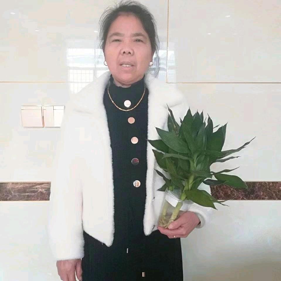 我是李奶奶