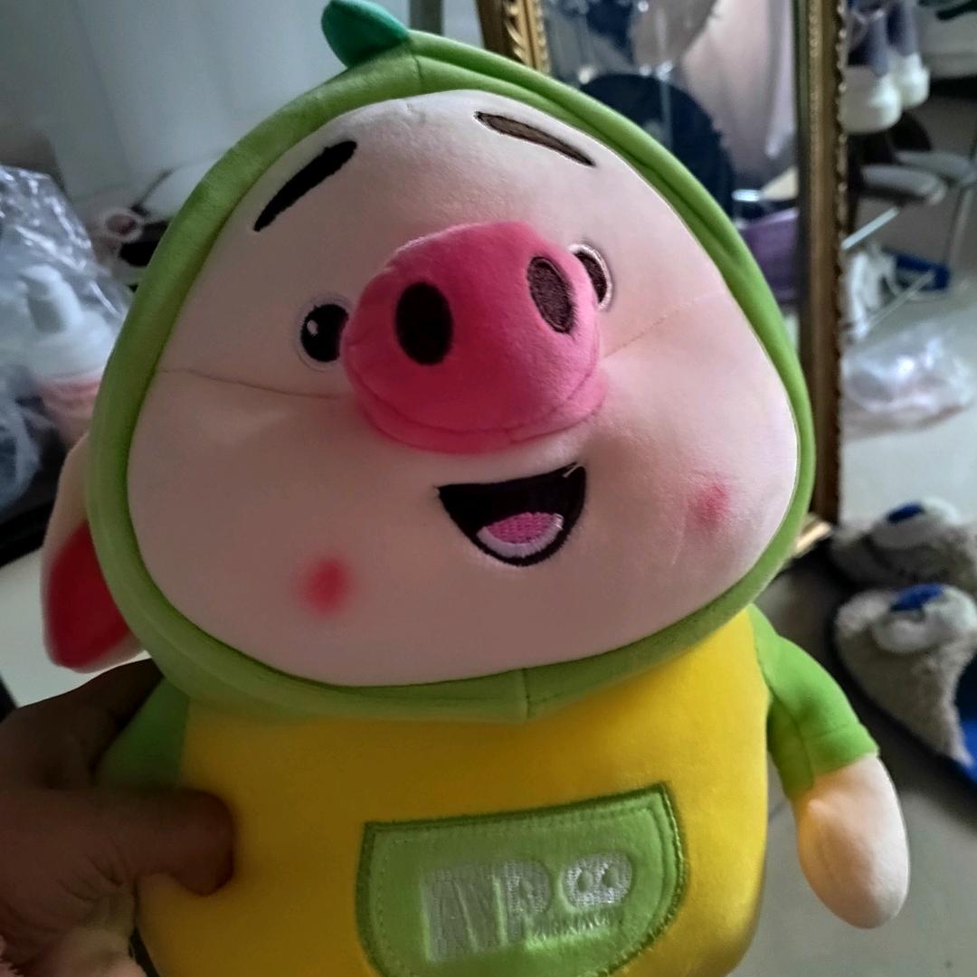 努力的马大姐