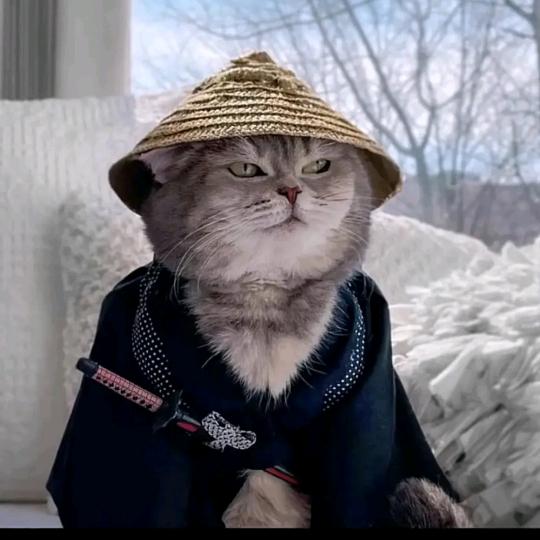 青祁