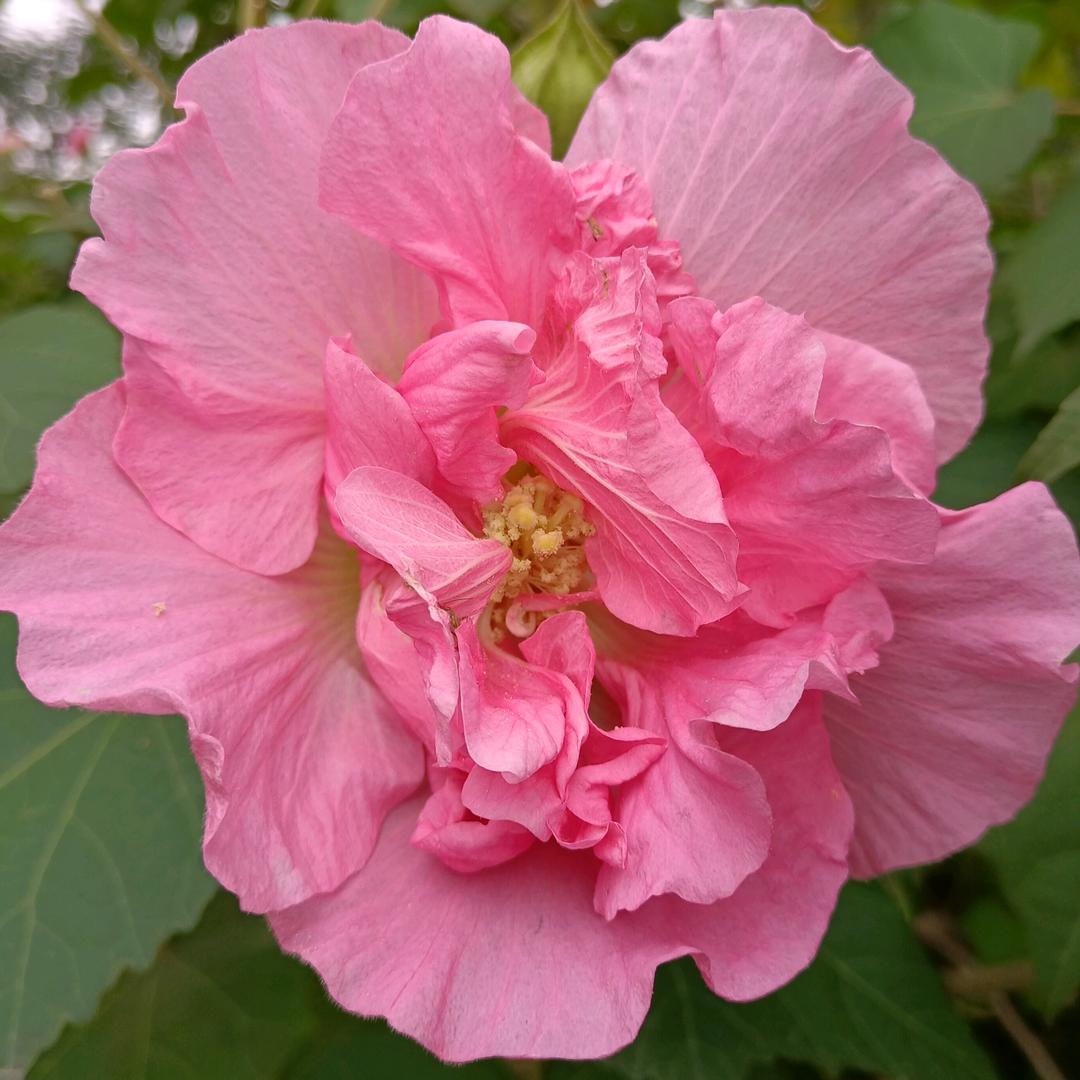 萧索•歌词原创