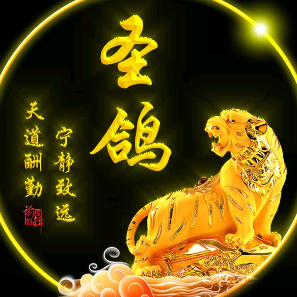 圣鸽好