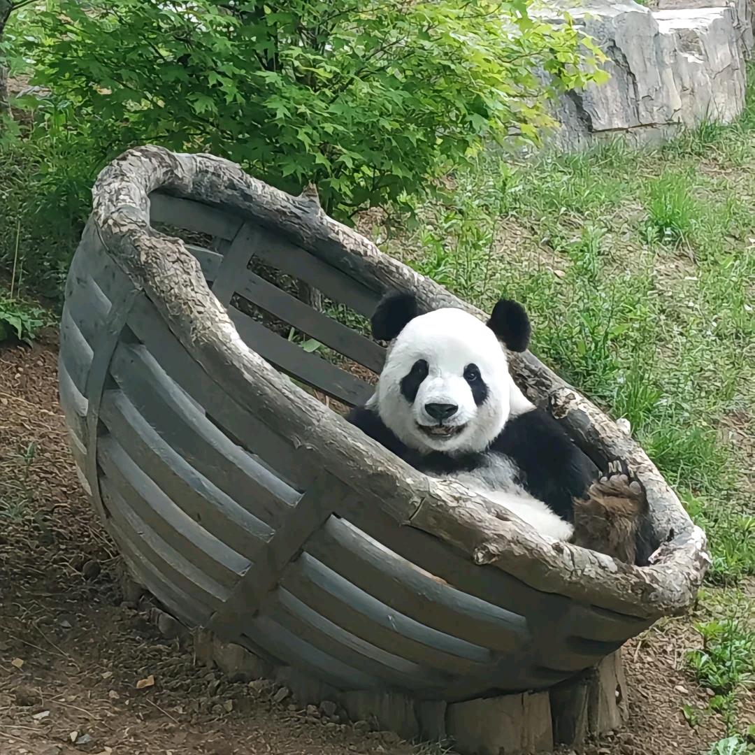 越来越好-