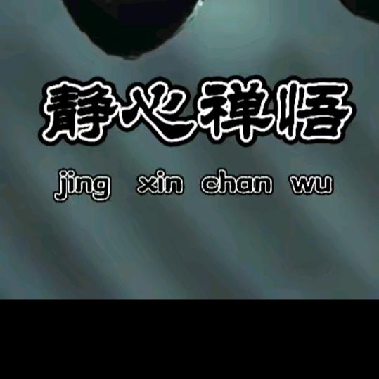 静心禅悟