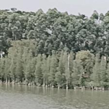 小洲同学