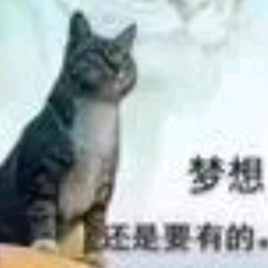 五朤朤