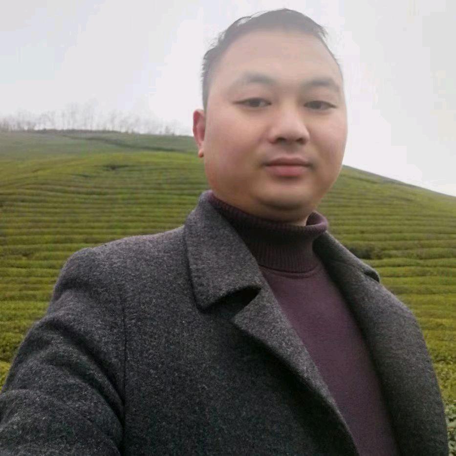 龍飞