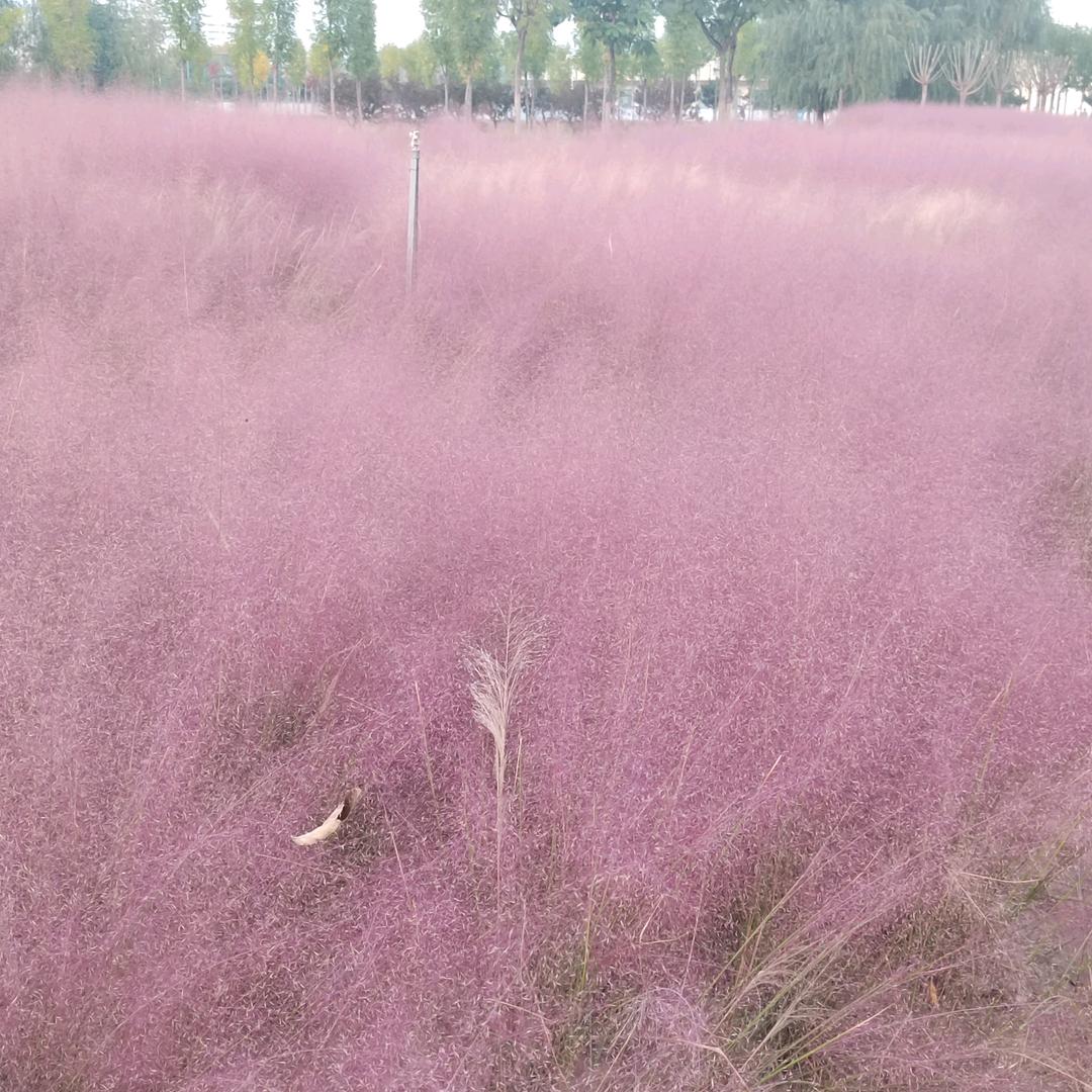 给我一支烟