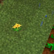 🇨🇳🇨🇳兰王