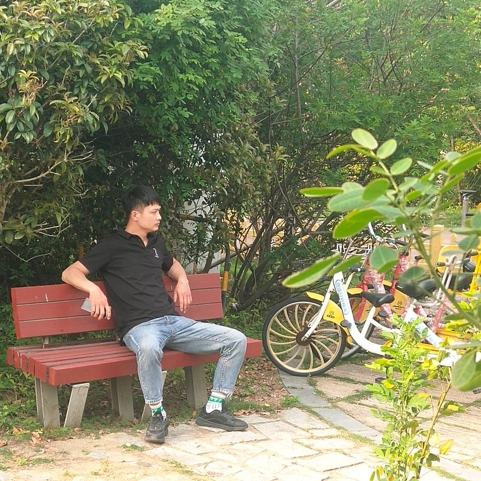 一路向阳