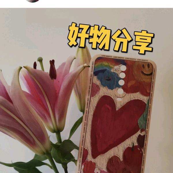 飞哥带货