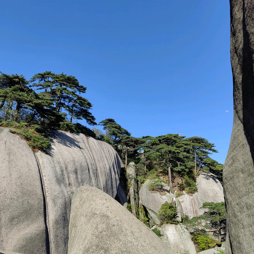 颍泉区辉太郎草莓种植场