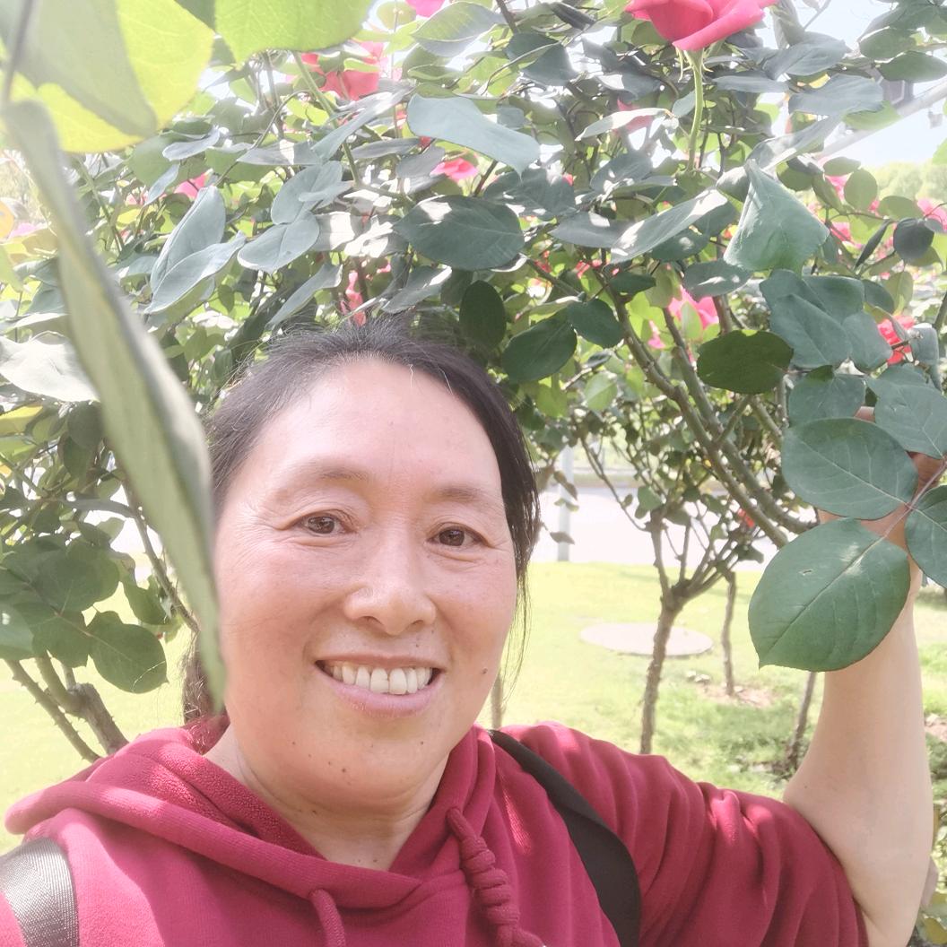 绮妹妹