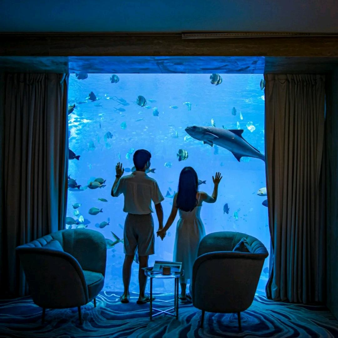 不万能夫妻漫游记