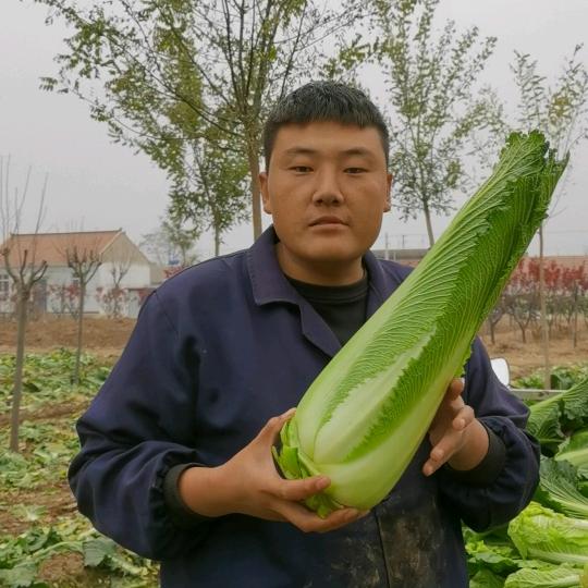 大唐农民小六