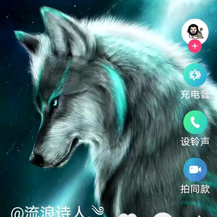 孤独狼