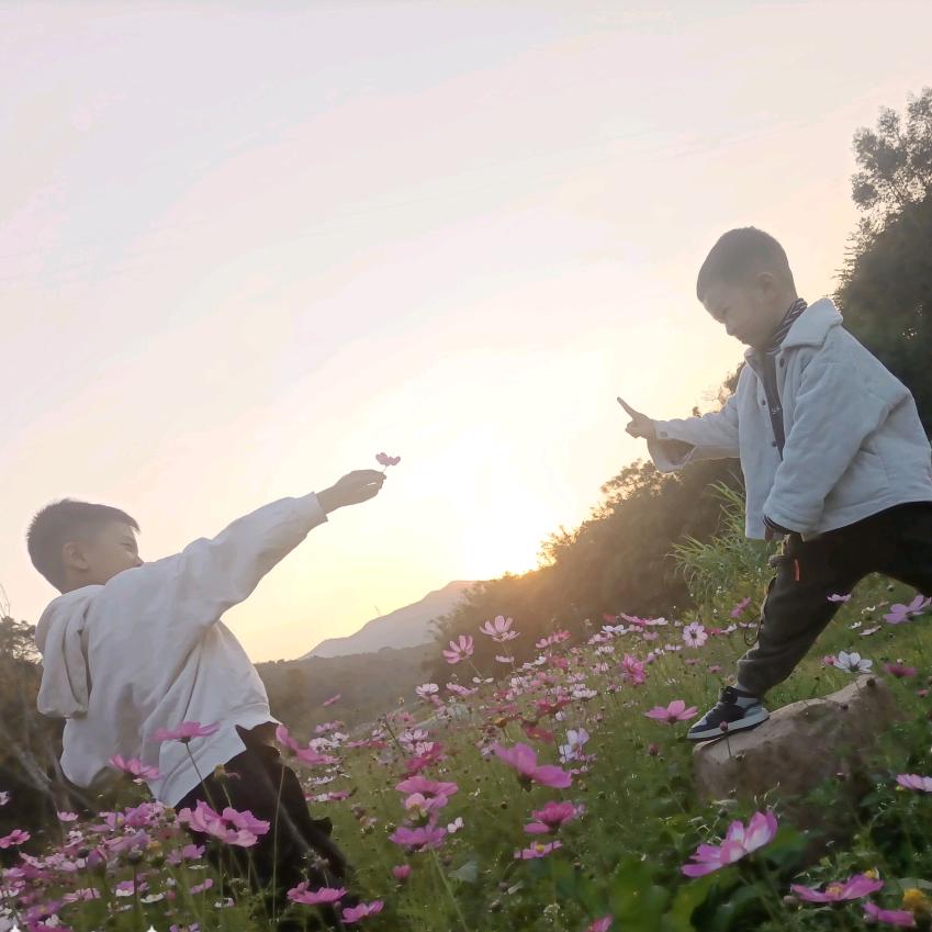 ༄ཉི🐉¹⁹₈₈ 邹༗࿆