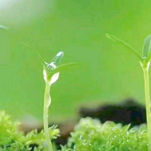 慧姐姐·梅州团体服装工厂店