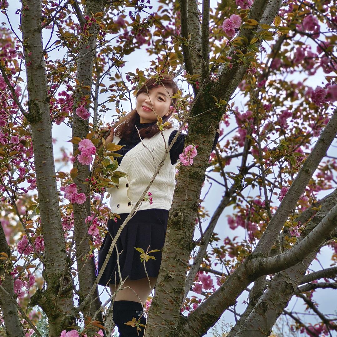 开心快乐的小燕子