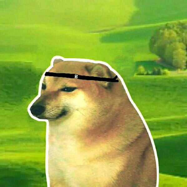 快乐的cheems