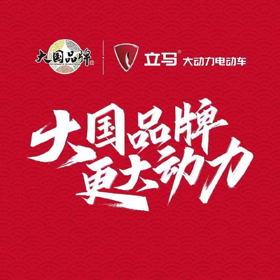 偃师民主路立马大动力电动车—静静