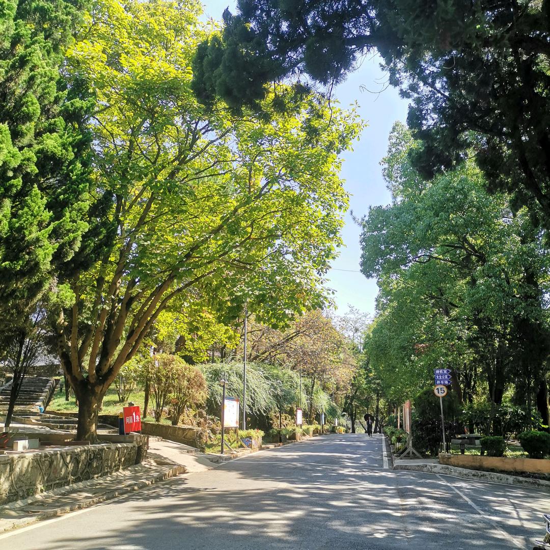 开心过好每一天  周