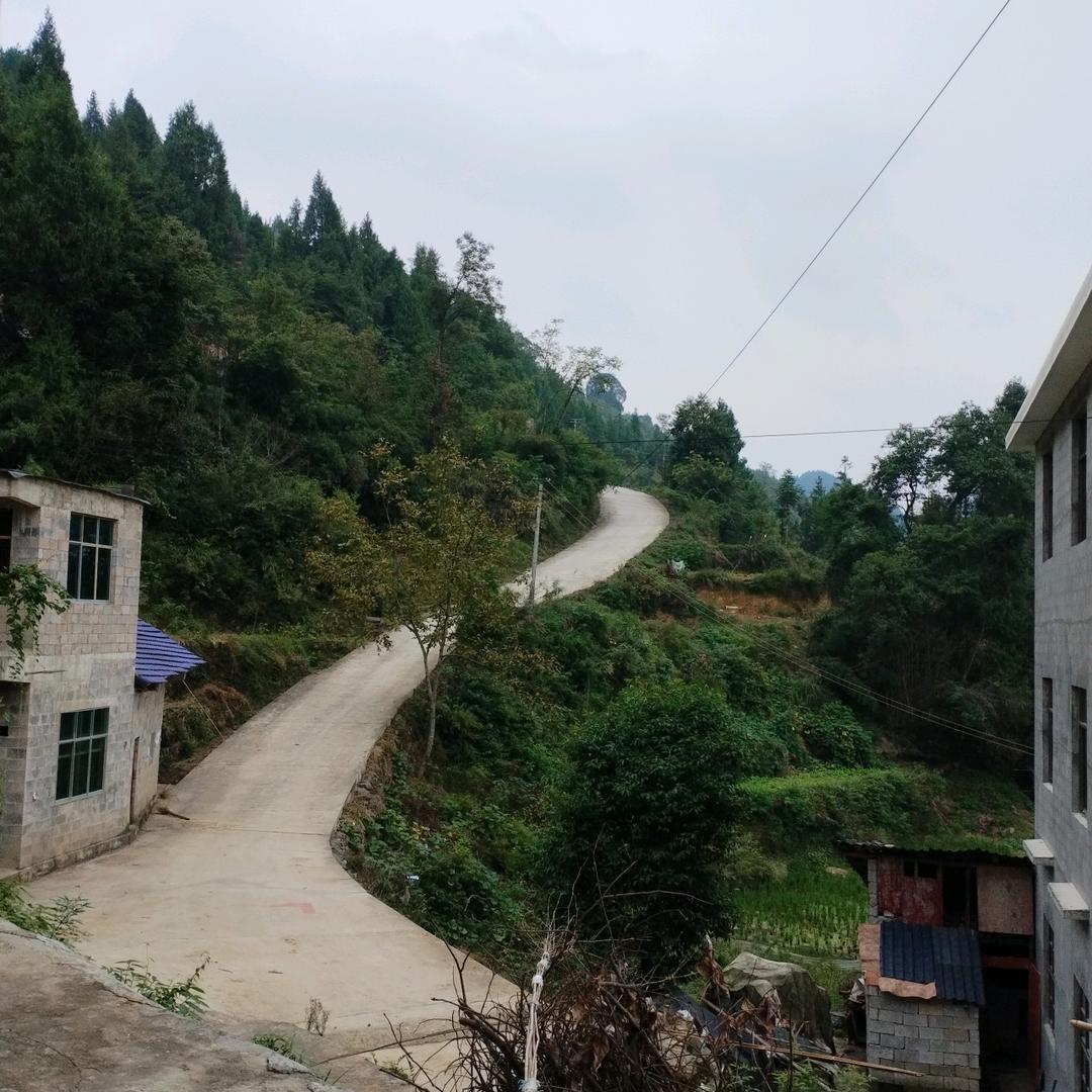 龙妹桃