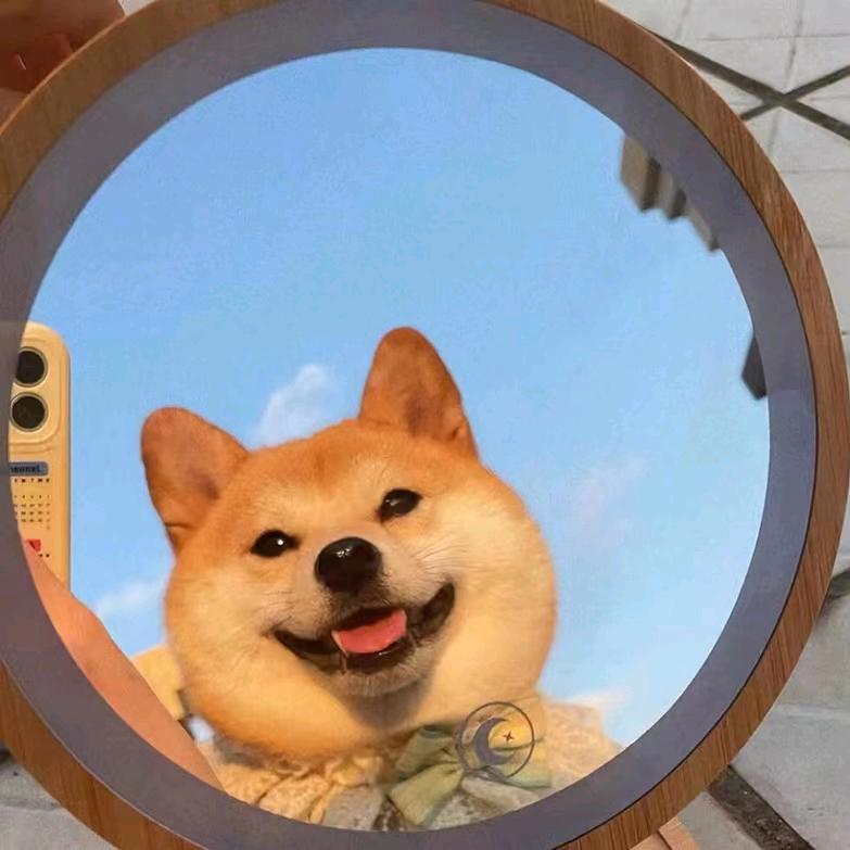 🐇¹⁹₈₇  ℘࿐