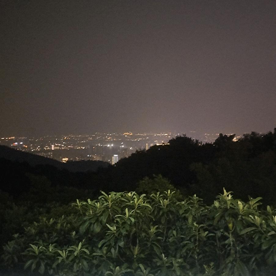 农村的胖仔