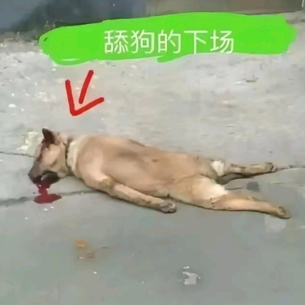 微微