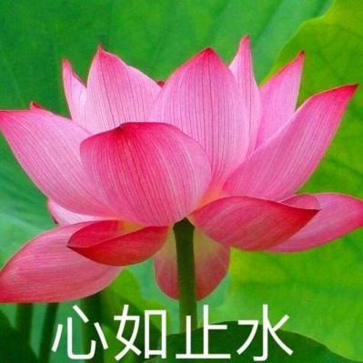 过去亦如云烟