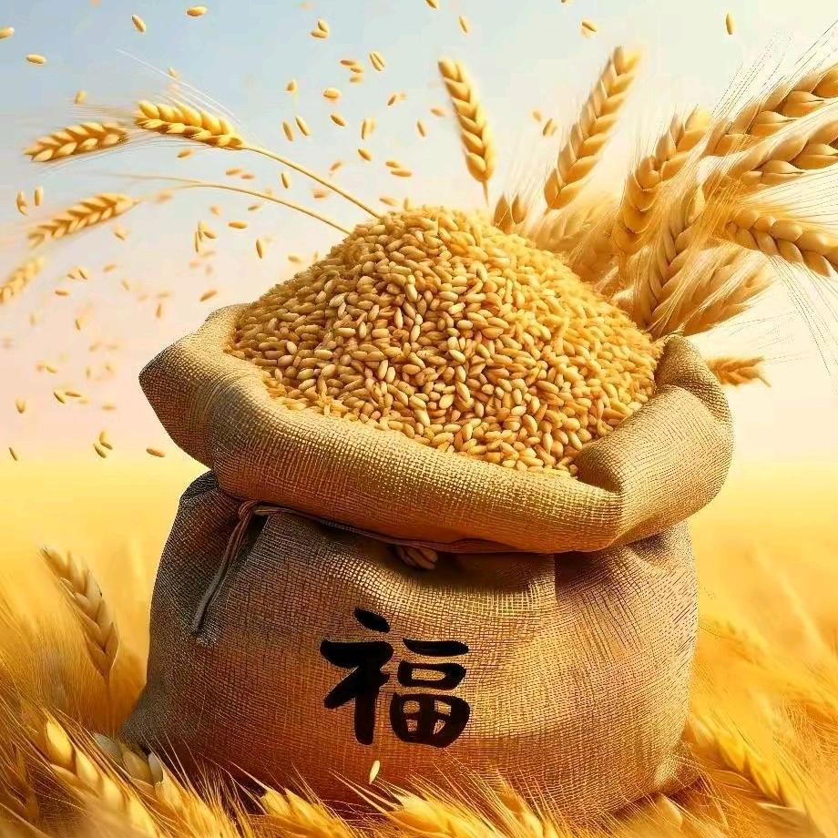 涛