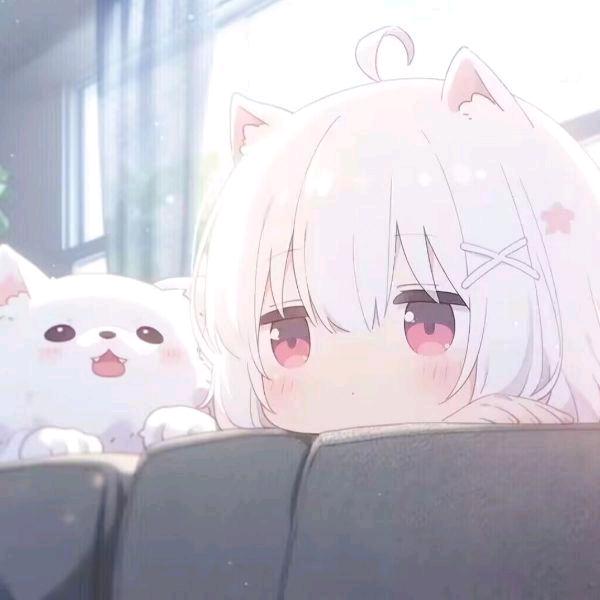 知鱼（今日无事版）