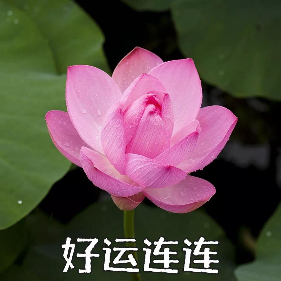 小康故事会