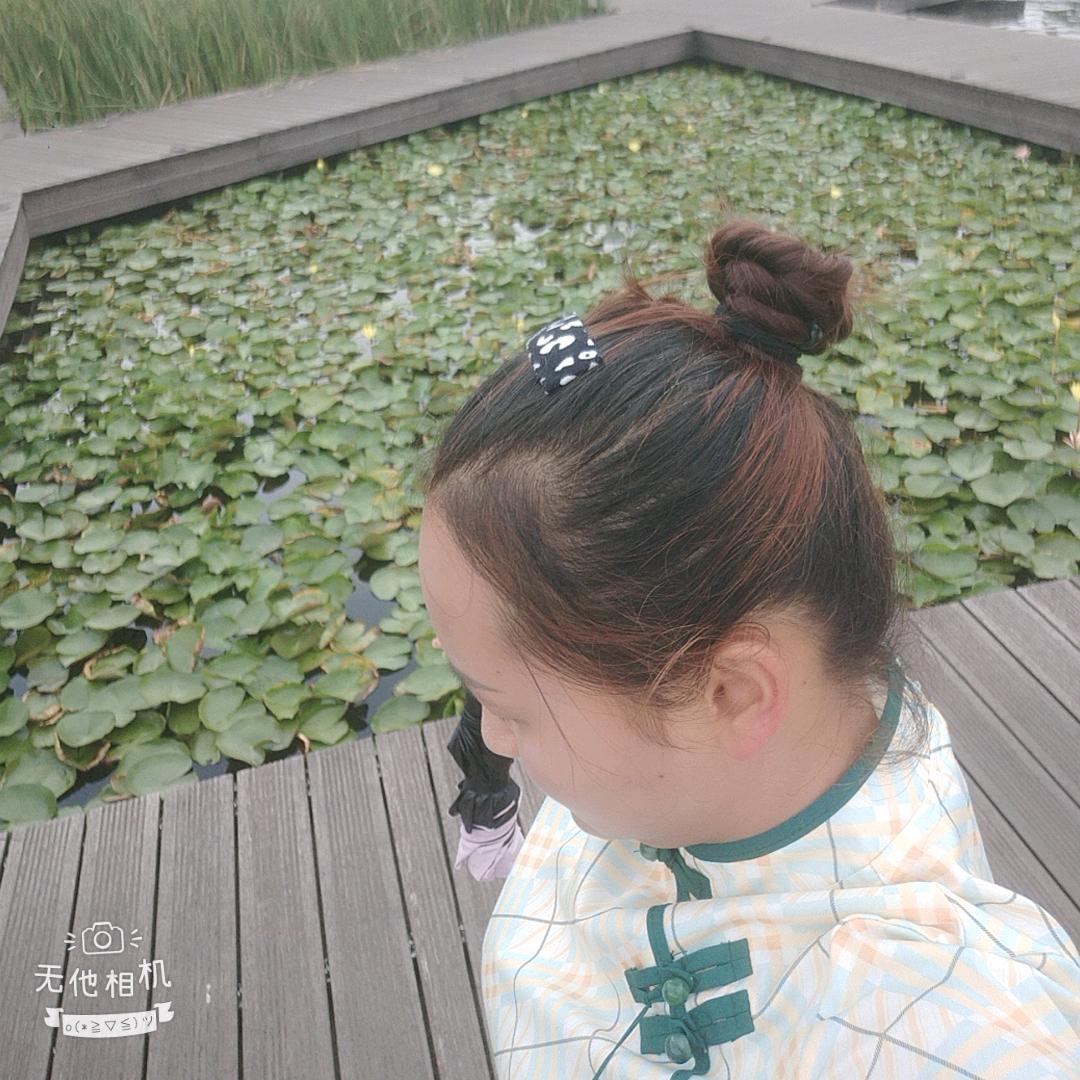 勿～忘～我。海英