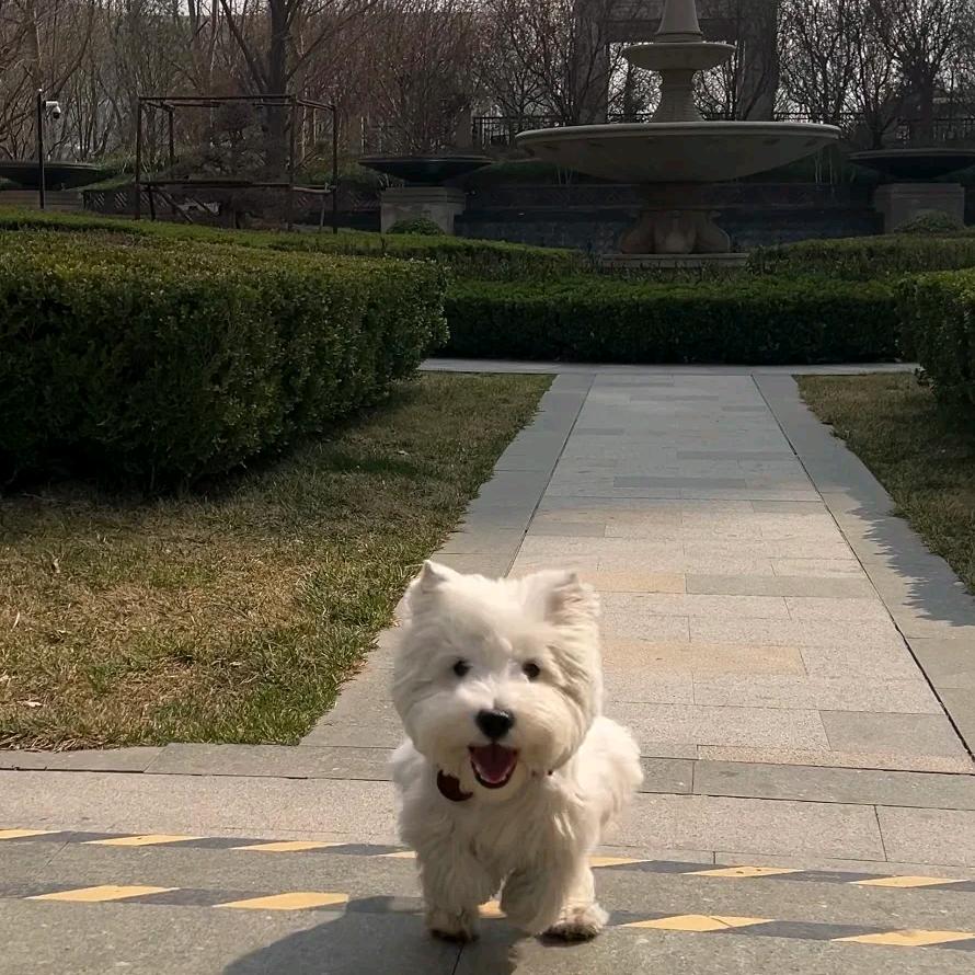 天天都上火