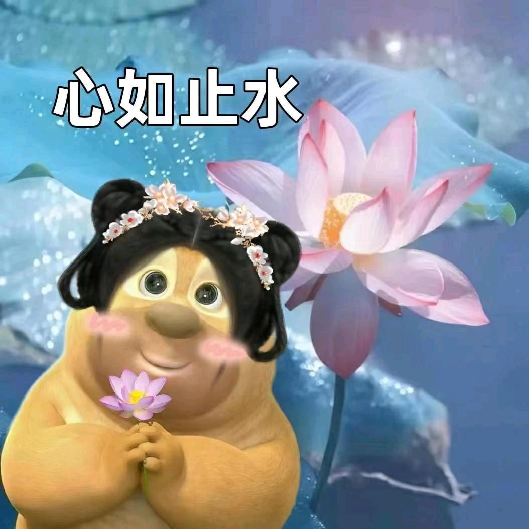 龙矿技校小Y老师