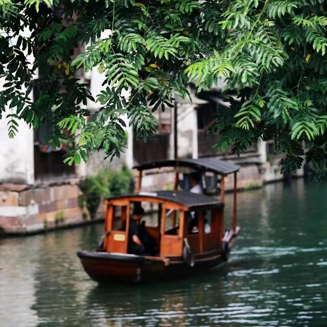 乌镇景点通