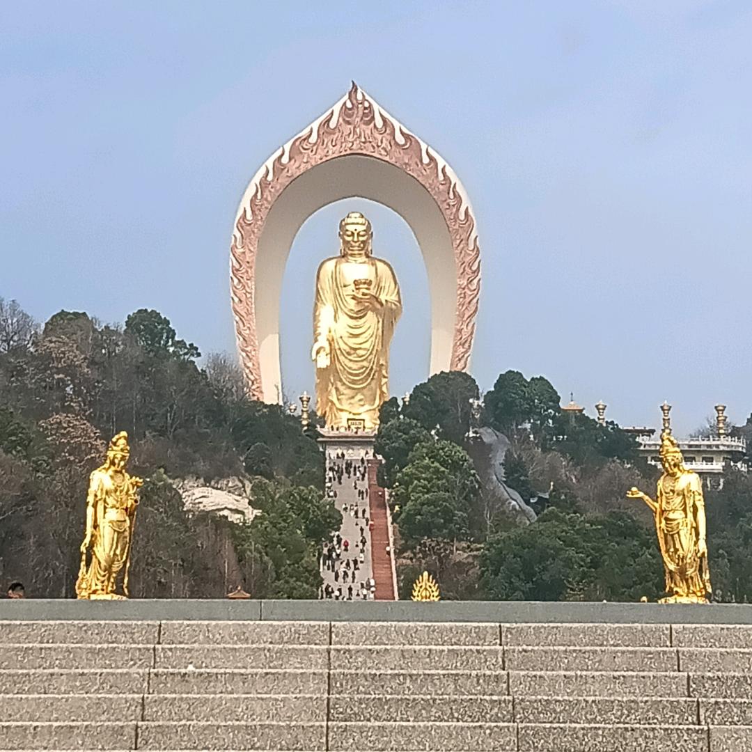$重生￥