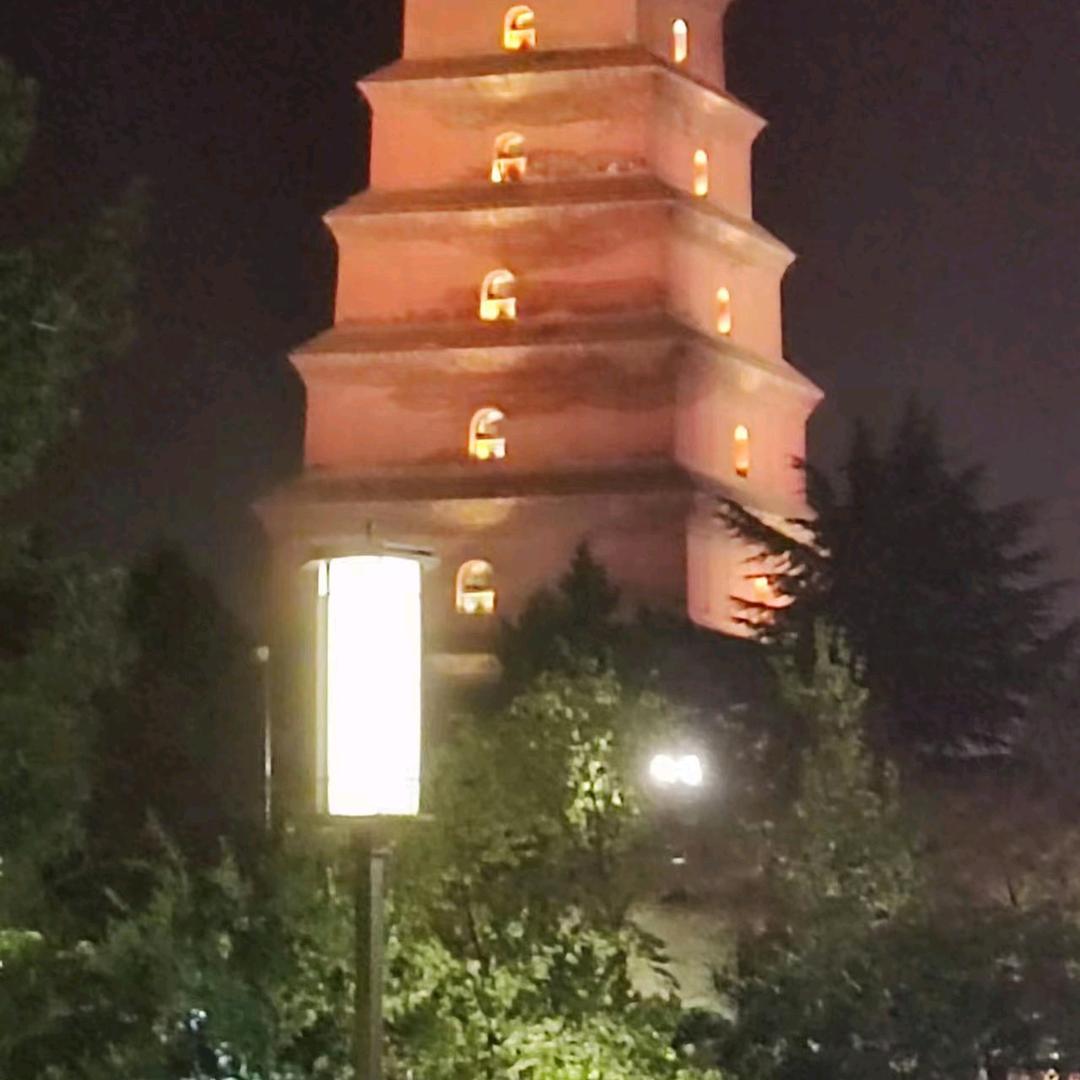 zm123456789
